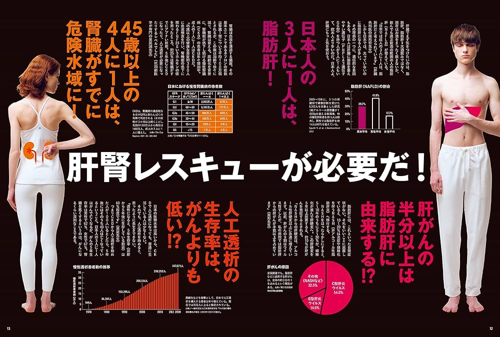 超貴重 約100枚　1967年〜75年 非売品 資生堂 チェインストア 表紙のみ ODMtODYwNC5qcGVn.jpeg